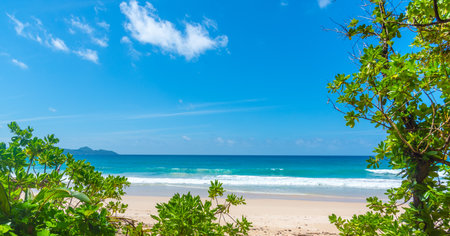 Turquoise water in Grande Anse beach on a sunny day. Mahe island, Seychellesの写真素材