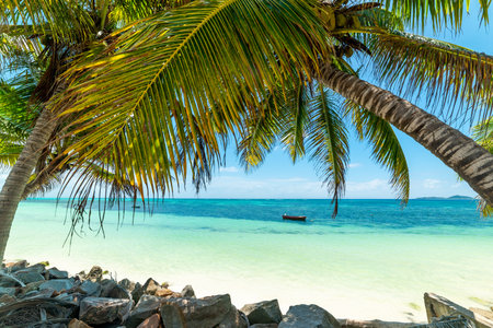 Wooden boat by the shore in Praslin island, Seychellesの写真素材