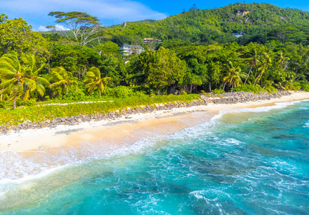 Aerial view of Anse Takamaka shore on a sunny day. Mahe island, Seychellesの写真素材