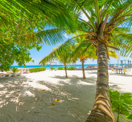 Anse Kerlan beach shore on a sunny day. Praslin island, Seychellesの写真素材