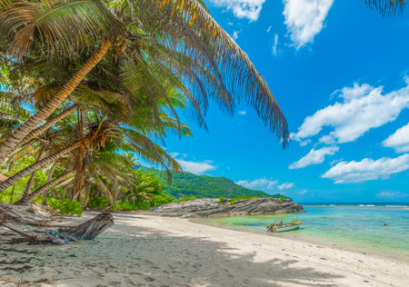 Wooden boat in Anse Forbans beach. Mahe island, Seychellesの写真素材