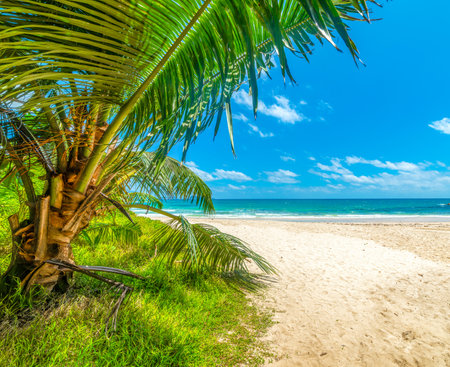 Anse Louis beach in Mahe island, Seychellesの写真素材