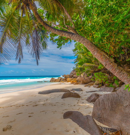 Palm trees by the sea in Anse Georgette beach. Praslin island, Seychellesの写真素材