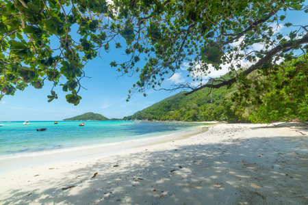 Port Launay beach in Mahe island, Seychellesの写真素材
