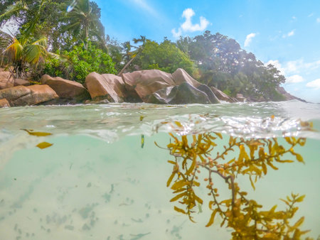 Split underwater view of Anse Severe beach on a sunny day. La Digue island, Seychellesの写真素材