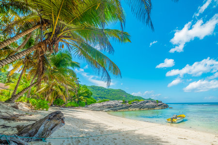 Wooden boat moored in Anse Forbans beach. Mahe island, Seychellesの写真素材