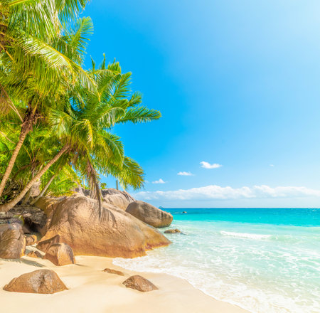 Granite rocks and palm trees by the sea in world famous Anse Lazio. Praslin island, Seychellesの写真素材