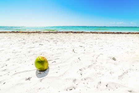 Coconut and white sand in Raisins Clairs beach in Guadeloupe, French west indies. Lesser Antilles,...