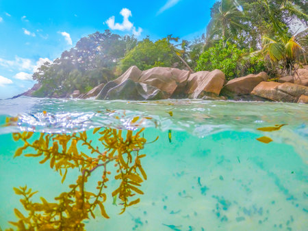 Split underwater view of Anse Severe beach on a sunny day. La Digue island, Seychellesの写真素材