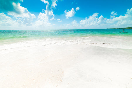 Man paddling over a surfboard in Guadeloupe, French west indies. Lesser Antilles, Caribbean seaの写真素材