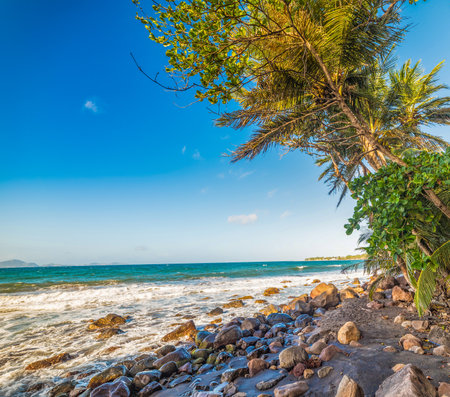 Rocks and dark sand in Grande Anse beach in Guadeloupe, French west indies. Lesser Antilles, Caribbean seaの写真素材