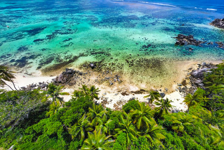 Aerial view of Anse Royale blue sea in Mahe island, Seychellesの写真素材