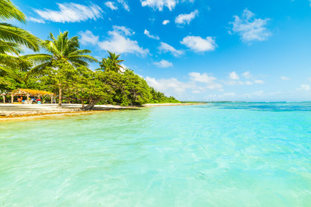 Turquoise sea and blue sea in Bois Jolan beach in Guadeloupe, French west indies. Lesser Antilles, Caribbean seaの写真素材