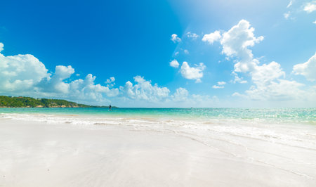 Man with a sup surfboard in Guadeloupe, Caribbean seaの写真素材