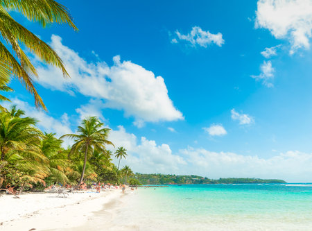 Blue sky over La Caravelle beach in Guadeloupe, French west indies. Lesser Antilles, Caribbean seaの写真素材