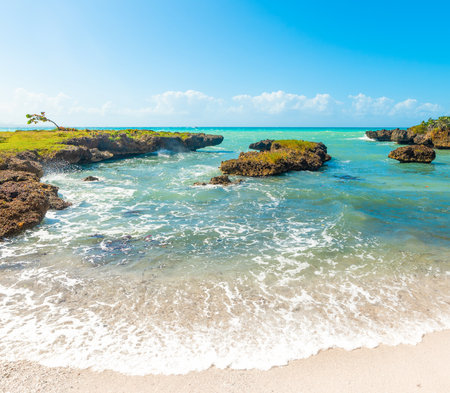 Colorful shore in Bas du Fort in Guadeloupe, French west indies. Lesser Antilles, Caribbean seaの写真素材