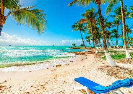 Beach chair by the shore in Guadeloupe, French west indies. Lesser Antilles, Caribbean seaの写真素材