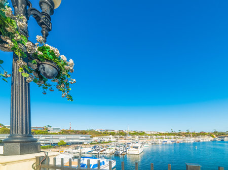 Balboa Island Harbor Orange County, Californiaの写真素材