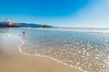 Baby girl playing in Santa Monica beach, Californiaの写真素材