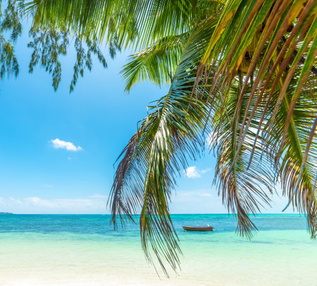 Boat by the shore in a tropical island on a sunny dayの写真素材
