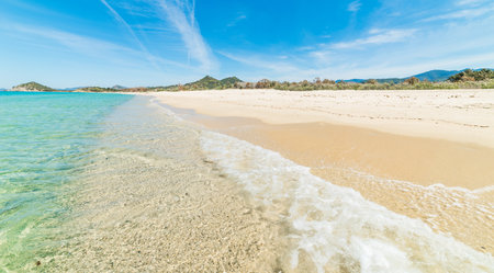Golden shore in Cala Sinzias, Sardiniaの写真素材