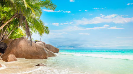 Palm trees and rocks by the sea under a blue skyの写真素材