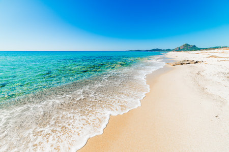 Golden sand in Costa Rei, Sardiniaの写真素材