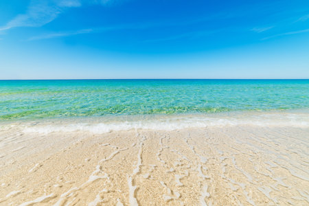 Golden sand and turquoise water in Cala Sinzias, Sardiniaの写真素材