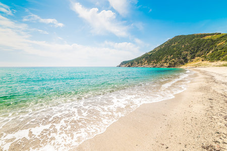 Golden shore in Solanas, Sardiniaの写真素材