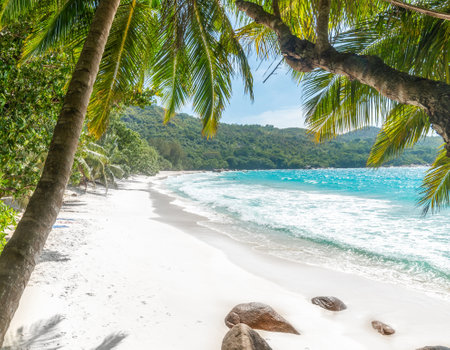 Palm trees and rocks in a tropical beach on a sunny dayの写真素材