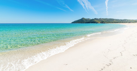 Golden shore in Cala Sinzias, Sardiniaの写真素材