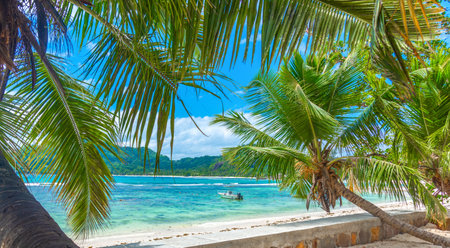 Boat by the shore in a tropical beach on a sunny dayの写真素材