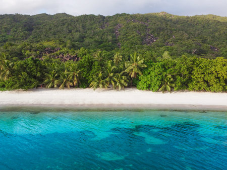 Aerial view of a tropical beach at sunset. Praslin, Seychelles