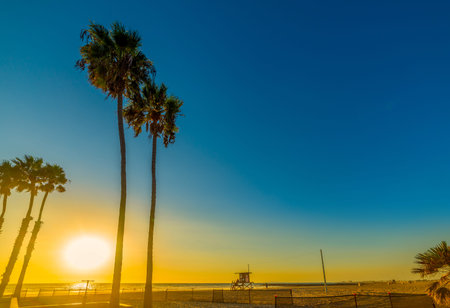 Palm trees and lifeguard tower in Newport Beach at sunset. California, USA