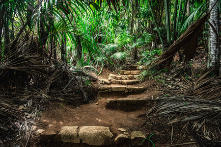 Thick vegetation in a tropical jungle in Seychelles