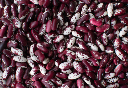 White and red beans on a gray background. Beans are a healthy, tasty and satisfying product