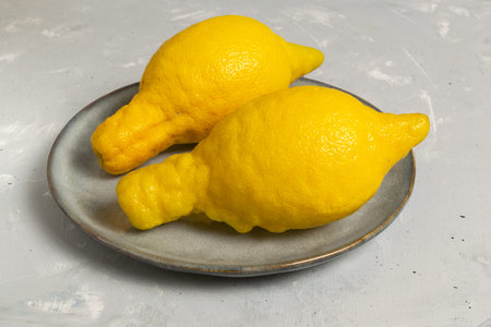 A pair of ugly lemons on a gray plate on a gray background. Copy space. Close-up. Horizontal orientation. The concept of ugly vegetables and fruits.の写真素材