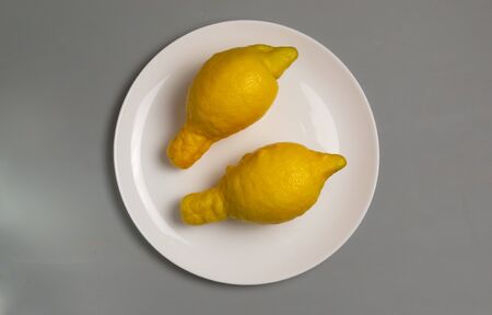 Ugly lemons on a white plate on a gray background. Close-up. Top view. Horizontal orientation. The concept of ugly vegetables and fruits.の写真素材