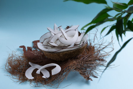 Homemade coconut chips on a dried palm leaf on a light blue background. Natural snacks prepared in...