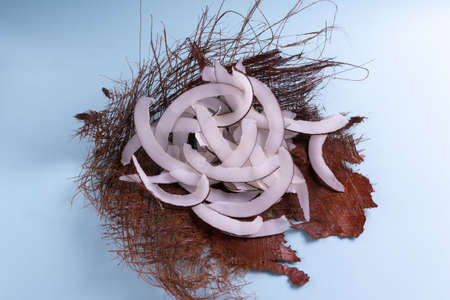 Natural homemade coconut chips on a dried palm leaf on a blue background. Natural snacks prepared in the home kitchen. Copy space.の写真素材