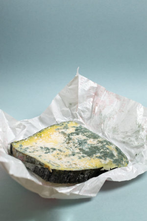 Spoiled cheese in packaging on a blue background. Food waste concept. Vertical orientation. Copy...