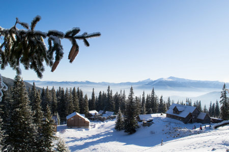 Wooden houses in the mountains among the snow-covered pine trees. Mountain landscape. Winter...
