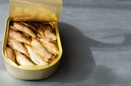 Canned fish on a gray background. Tinned fish concept. horizontal orientation. copyspace.の写真素材