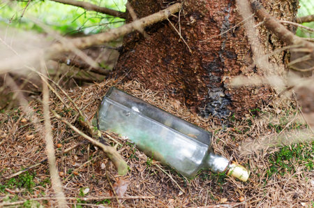 Garbage pile in autumn forest. Toxic plastic into nature everywhere. Rubbish heap in park among...