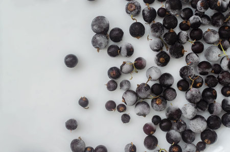 Frozen blackcurrants scattered on a white background. The bright contrast of the dark berries and...
