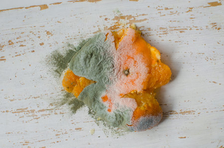 Crushed moldy orange covered in thick, fluffy green and pink mold is placed on a damaged white wooden surface. Food spoilage, fungal growth and decomposition. Environmental conceptの写真素材