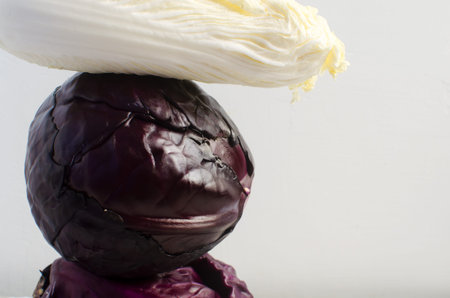 Two heads of red cabbage and a head of Chinese cabbage, arranged vertically in a minimalist composition on a white background. An artistic still life with contrasting colors and textures. Copy spaceの写真素材