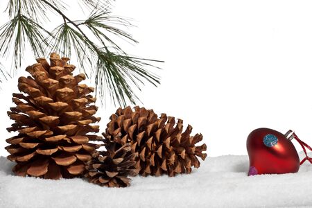 Pinecones and ornament in snowの写真素材