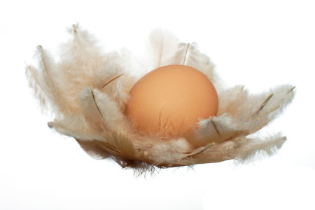 Single fresh brown organic egg in nest of feathers
