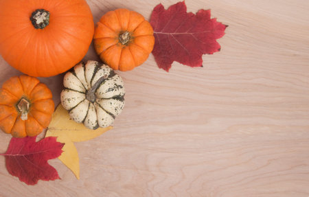 An autumn border of pumpkins, squash and fall leaves with copy space